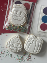 Load image into Gallery viewer, Paint Your Own Kit
